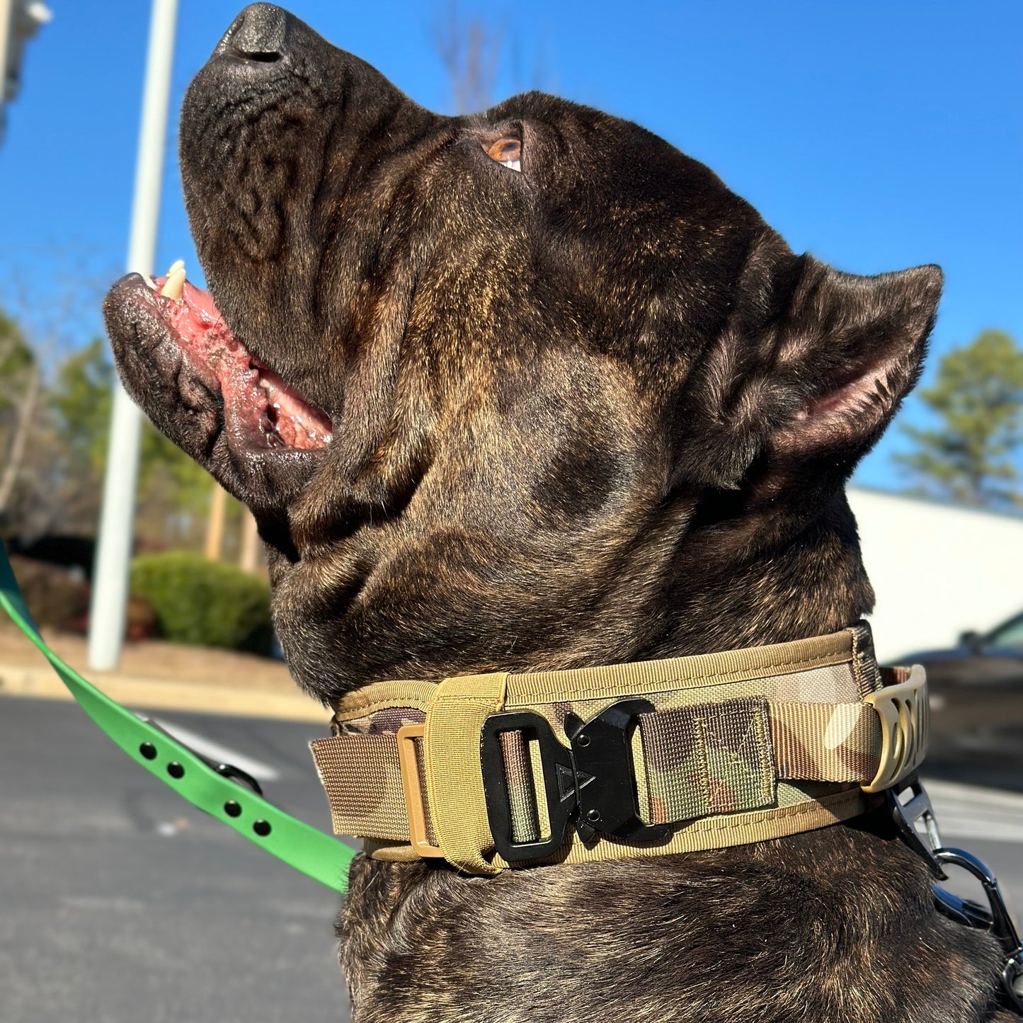 2.5" ProGuard Collar