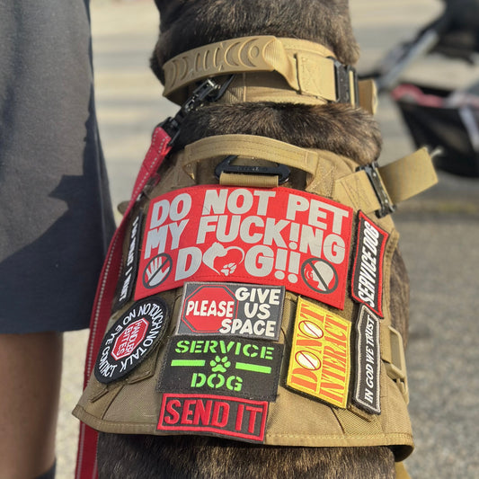 Big Ass Patch