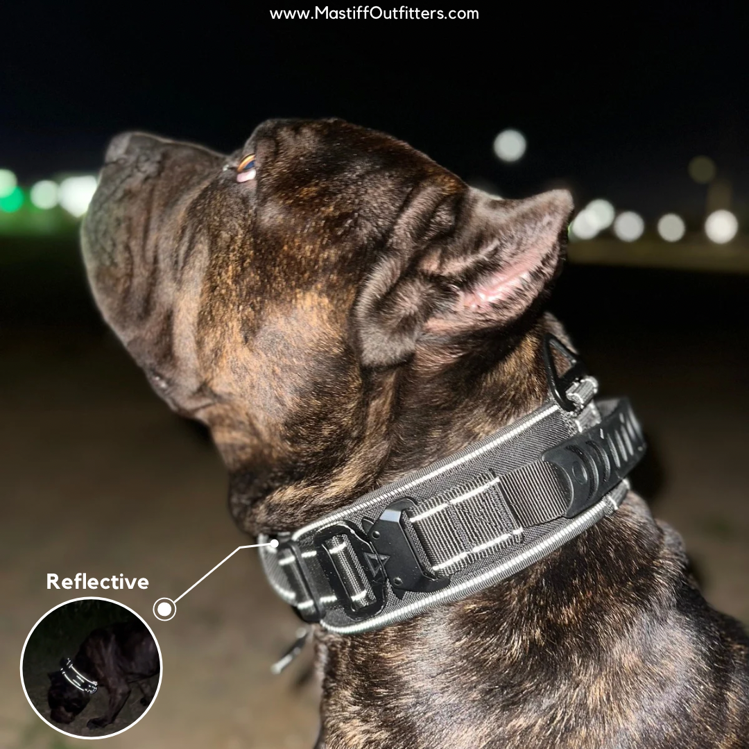 2.5" ProGuard Collar