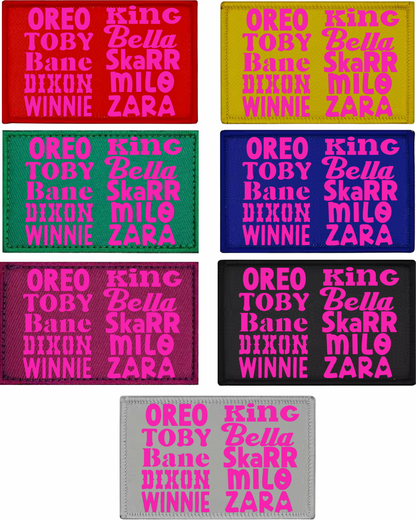 Set of colorful rectangular patches with names printed on them.