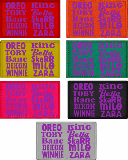 Set of colorful rectangular patches with text on a white background