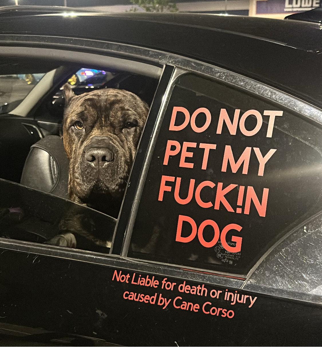 DO NOT PET Decal