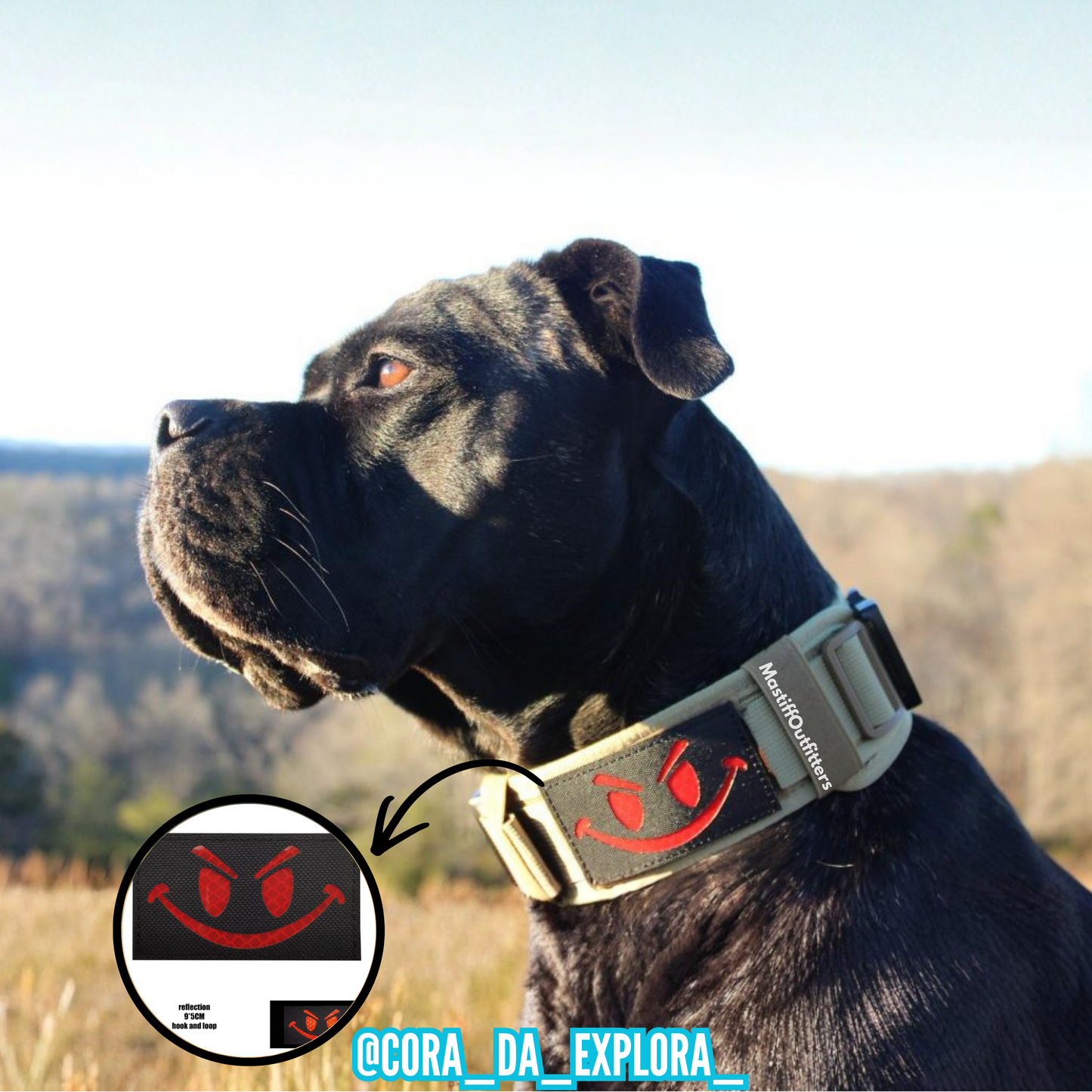 Dog wearing a collar with a smiley face design in an outdoor setting