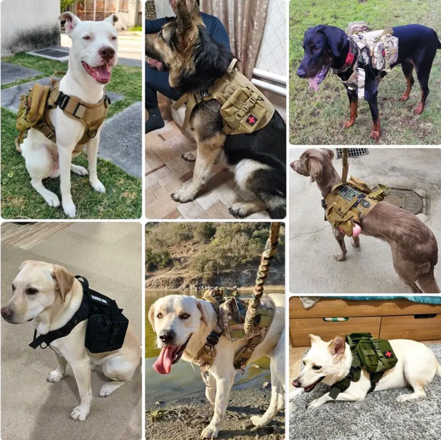 Collage of dogs wearing various types of vests in different settings.