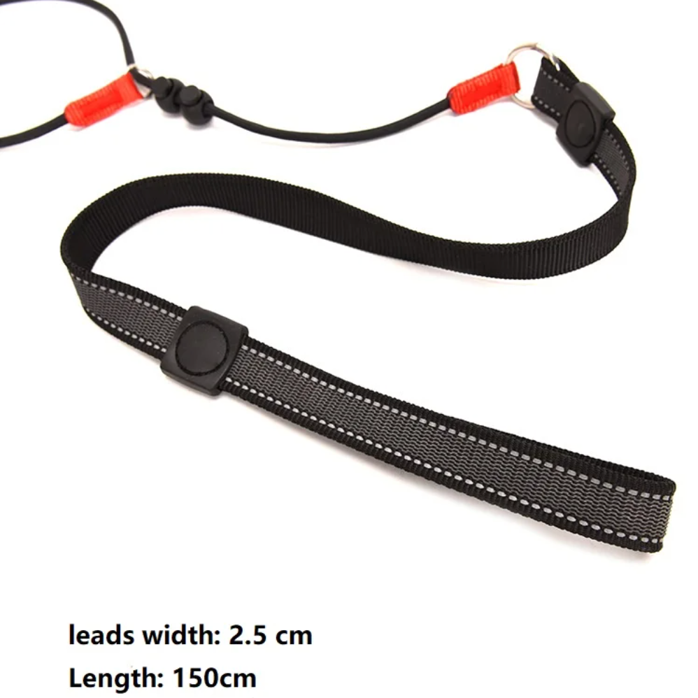 Black dog leash with red clips on a white background