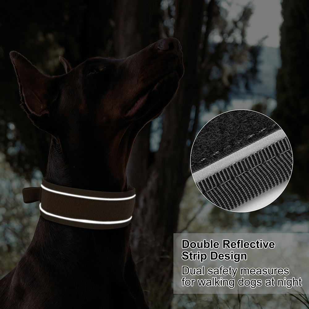 Doberman wearing a reflective collar with a close-up of the reflective strip in a forest setting.