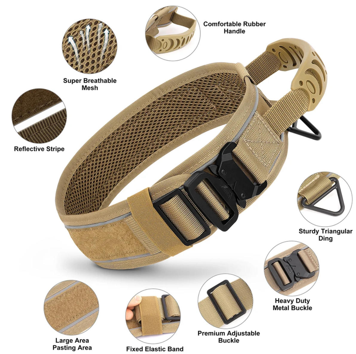 Tan dog collar with features highlighted on a white background