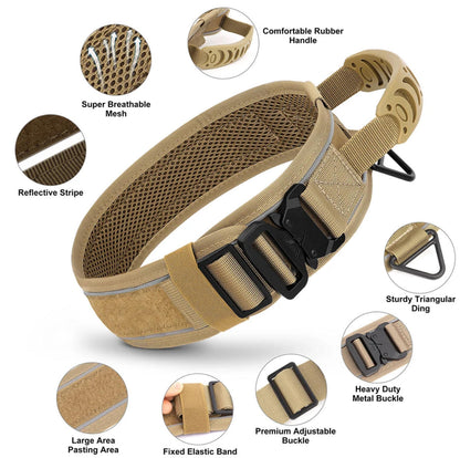 Tan dog collar with features highlighted on a white background